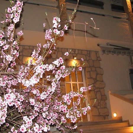 Villa Kokkinos Potos Exterior foto